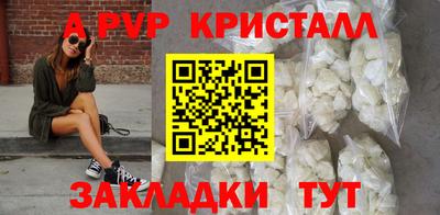 СК Каменск-Шахтинский