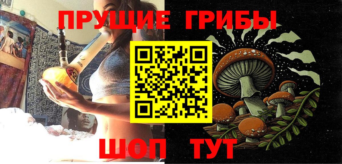 Галлюциногенные грибы GOLDEN TEACHER  Вход с VPN  Псилоцибиновые грибы Psilocybine cubensis  Ишим 
